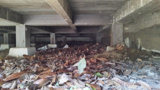 足音が聞こえる場所別の特徴｜天井裏・壁の中・床下