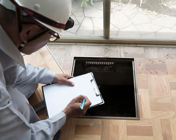 ネズミ駆除調査
