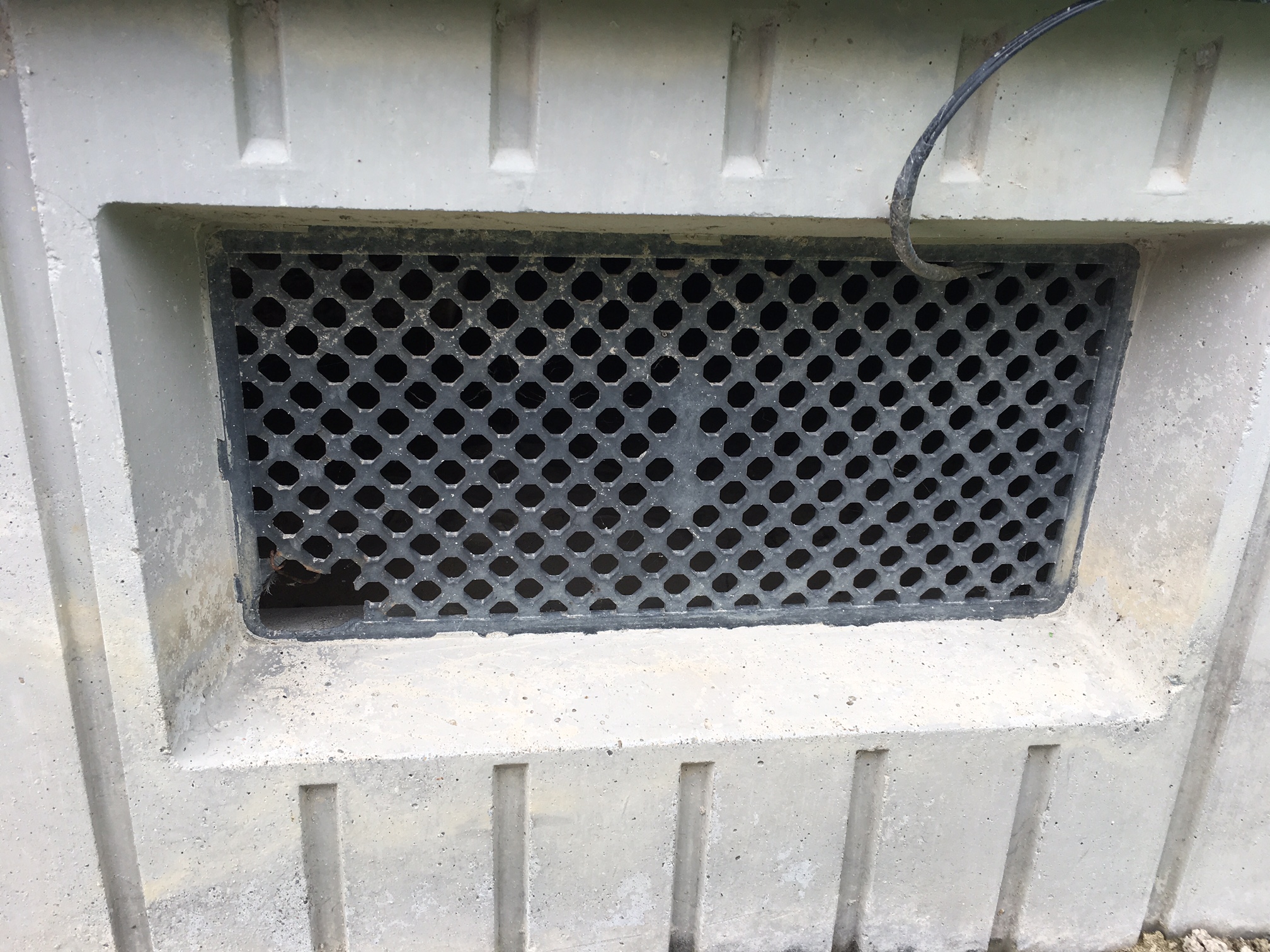 W.A のネズミ駆除施工事例