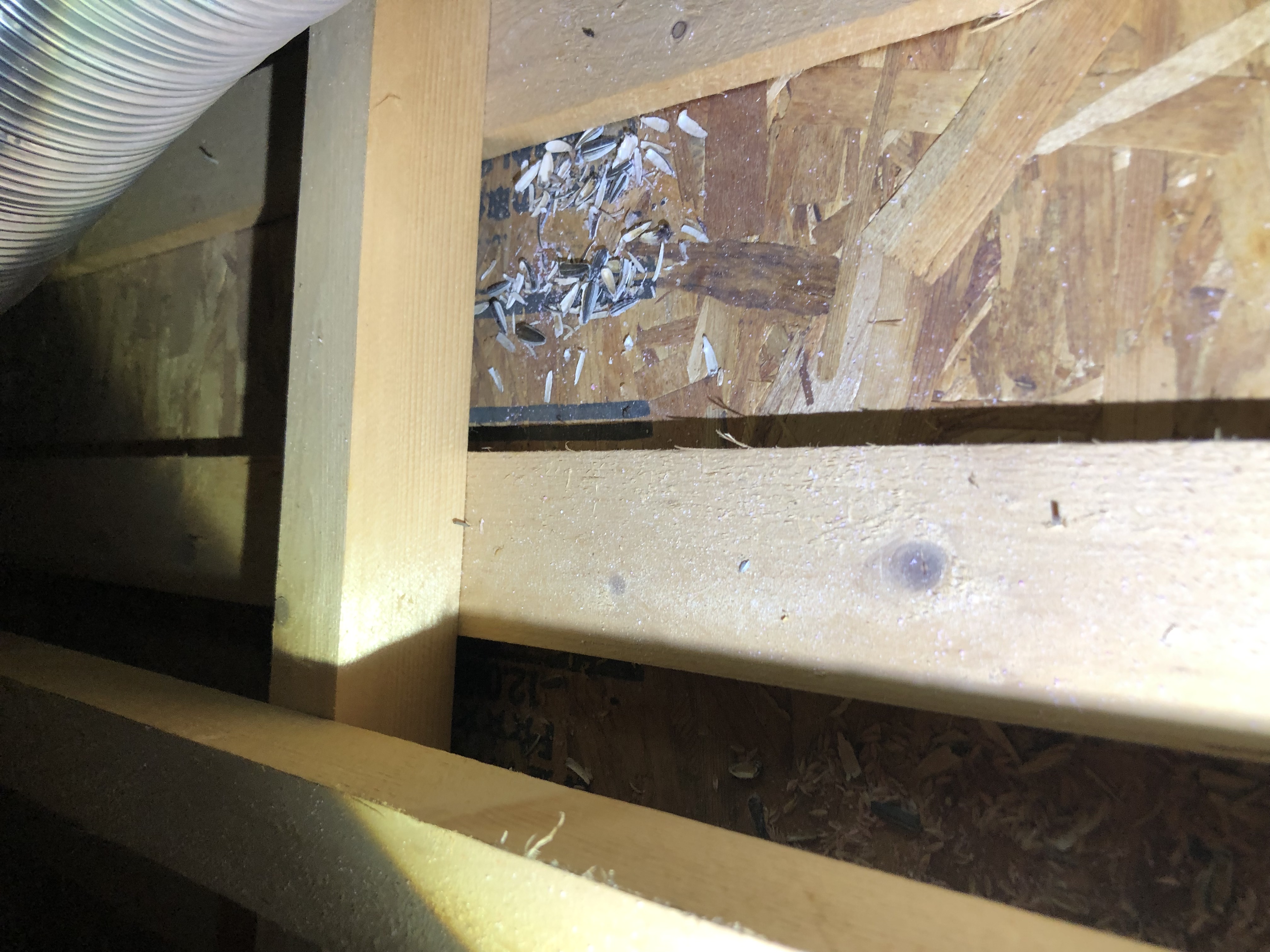 T.U のネズミ駆除施工事例