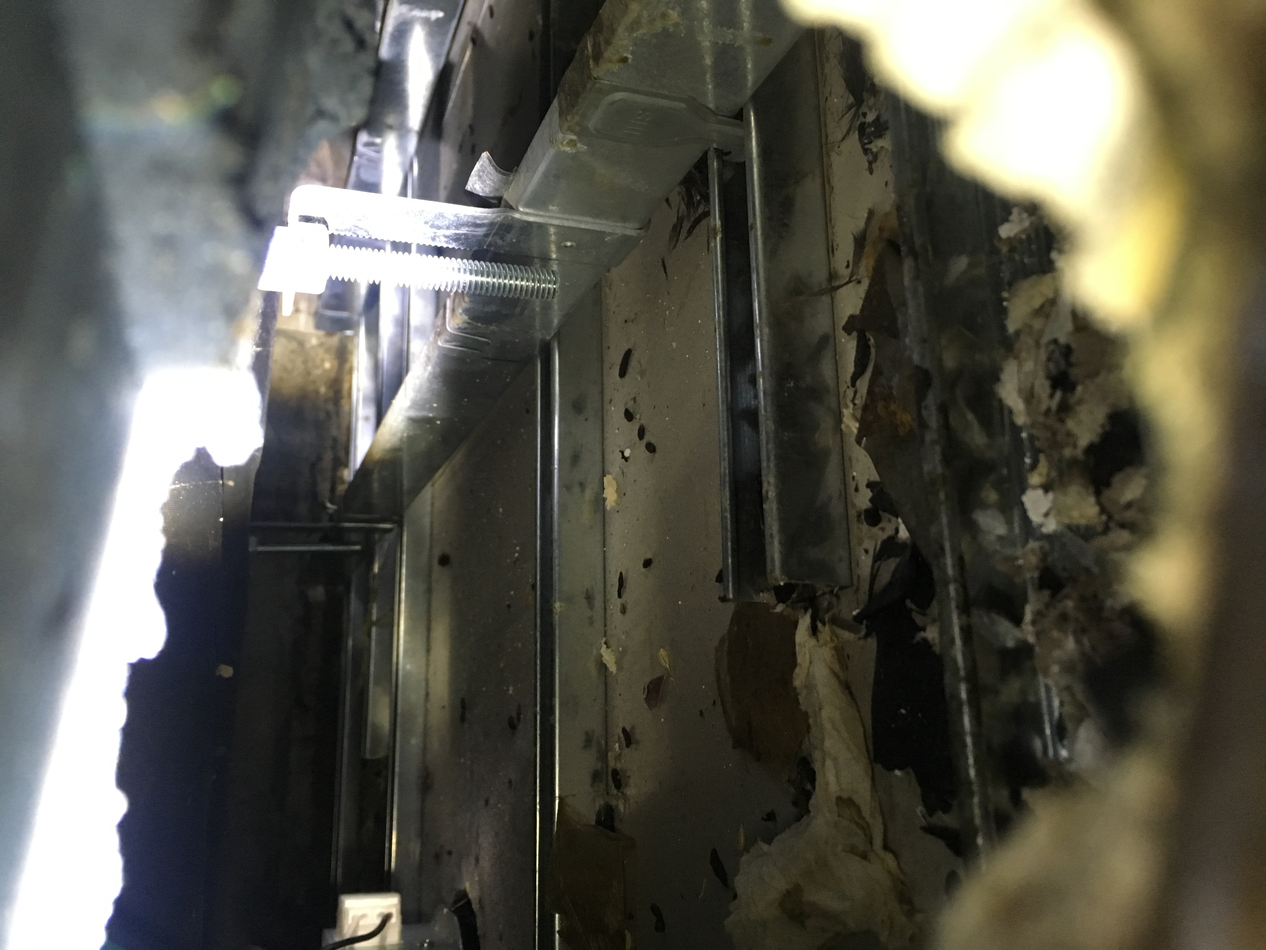 H.I のネズミ駆除施工事例